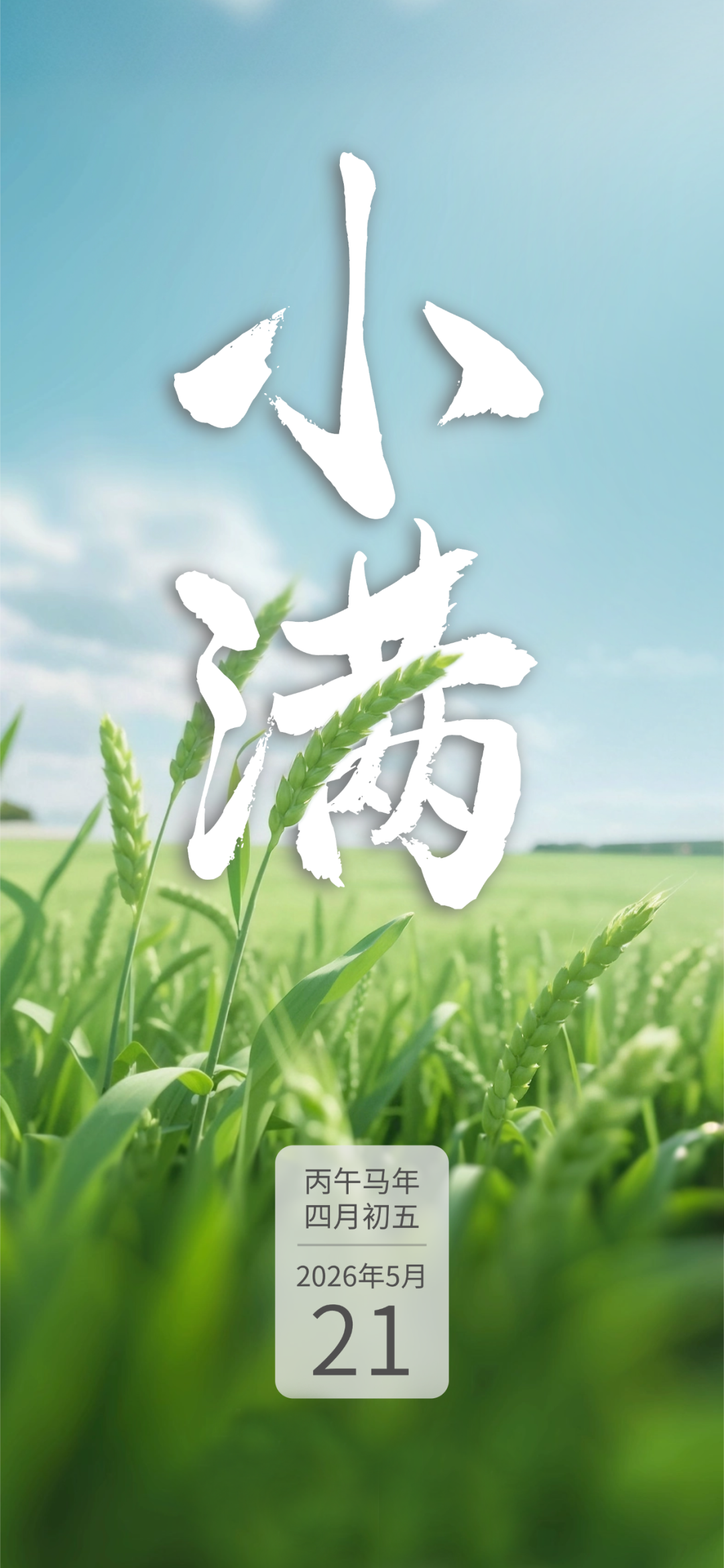 微信图片_2026-05-22_090736_251.png
