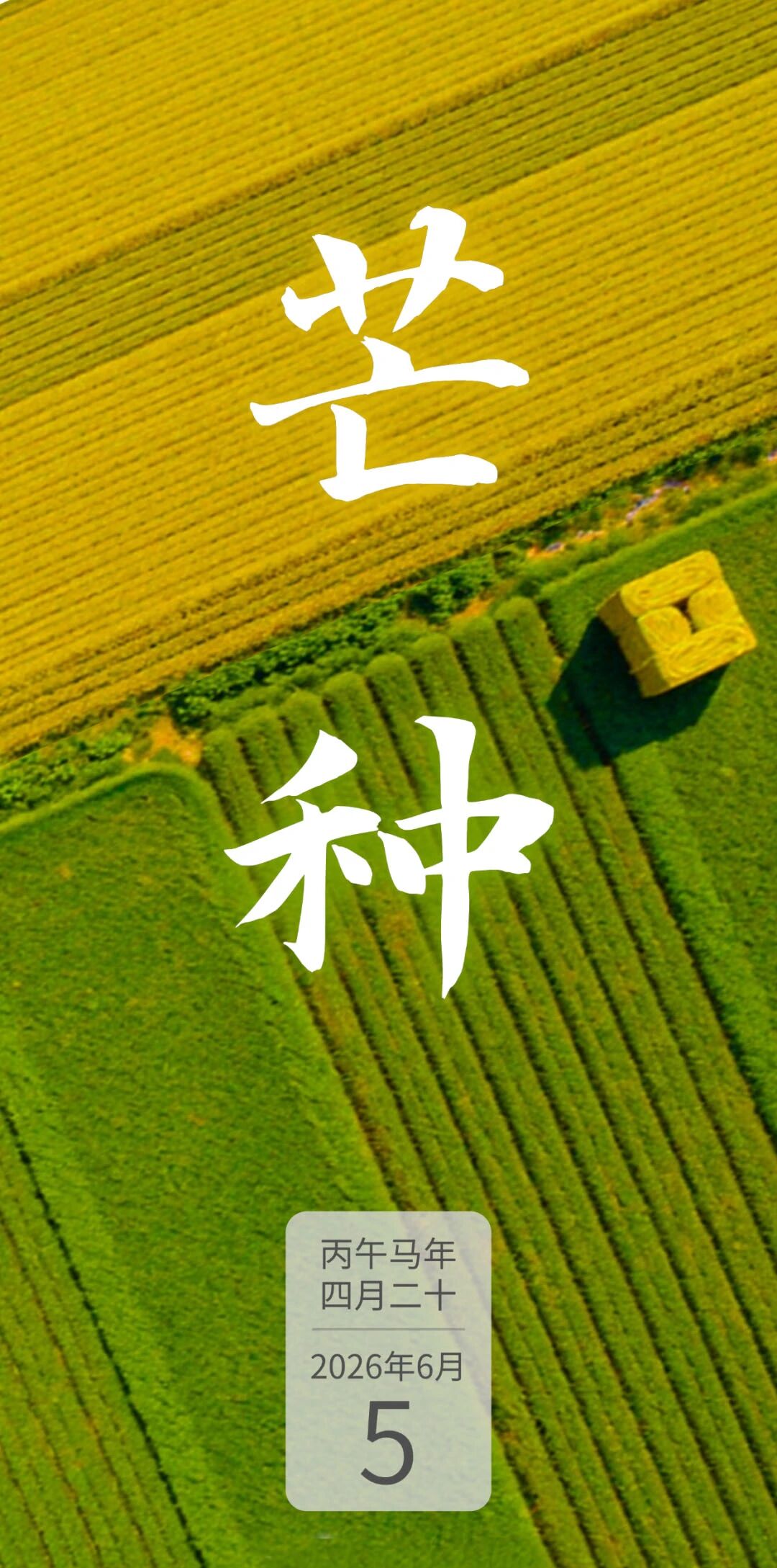 微信图片_2026-06-08_095611_456.jpg